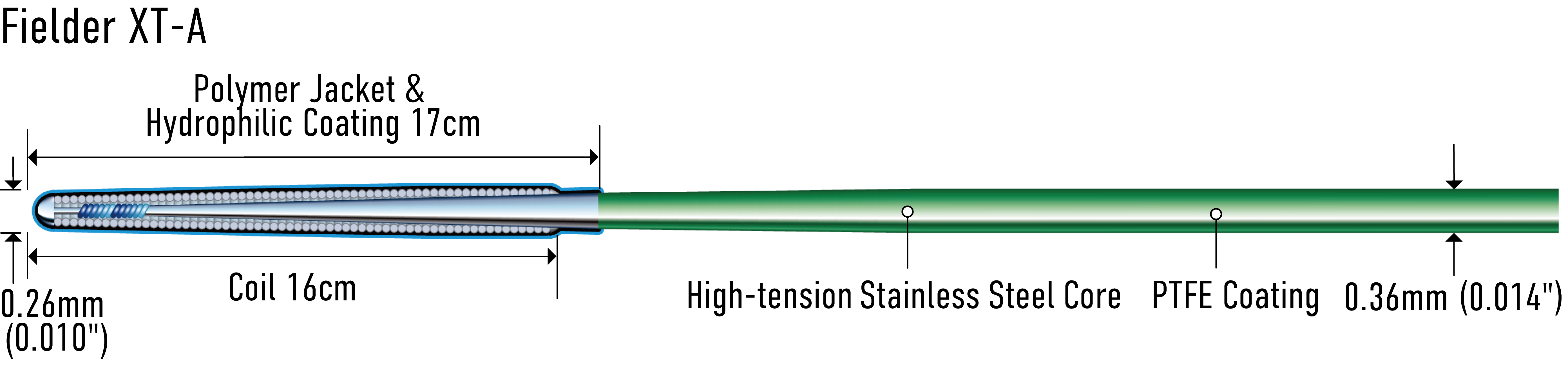 Fielder XT-A/XT-R | Medical products for Coronary | ASAHI INTECC PRODUCTS